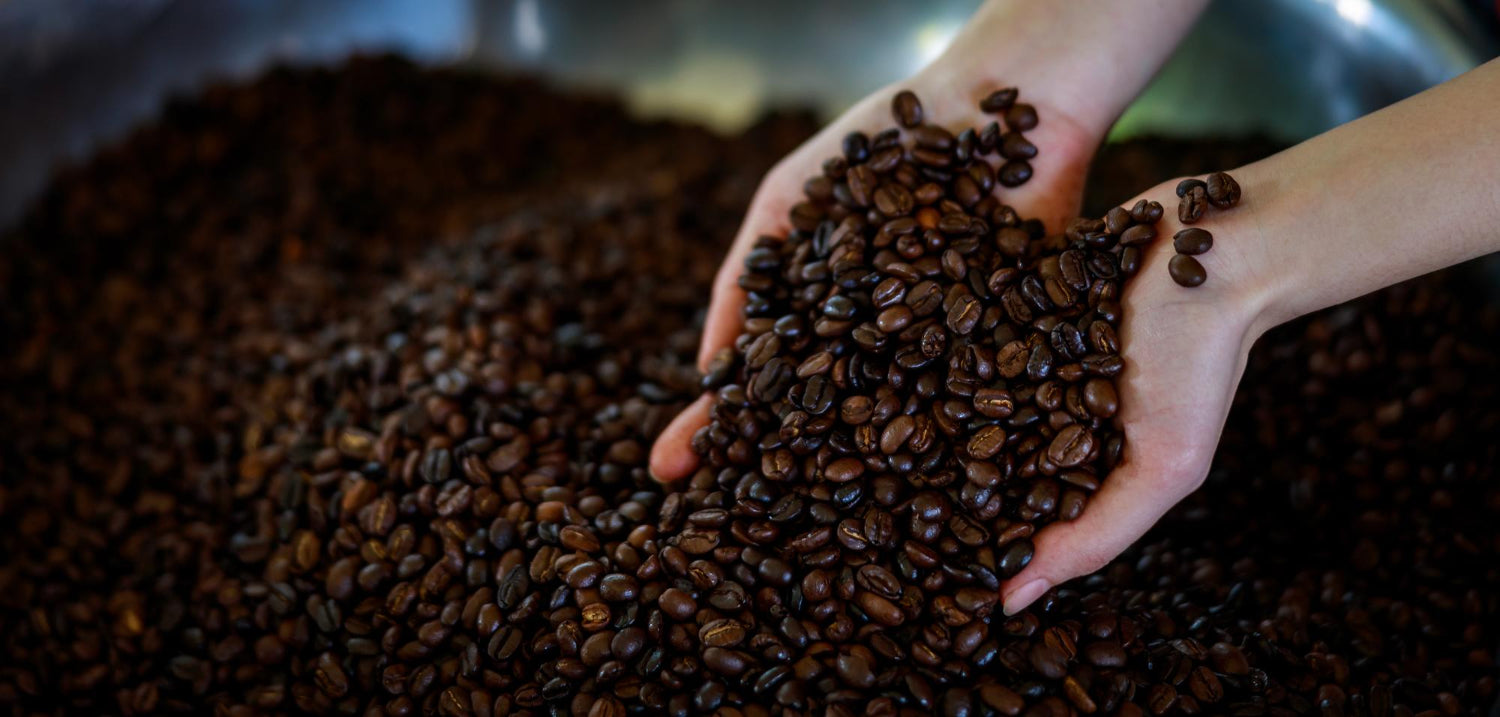 Kaffee richtig lagern – So bleibt dein Kaffee länger frisch